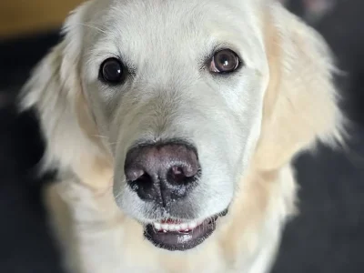 Ellie